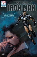 Tony Stark Iron Man