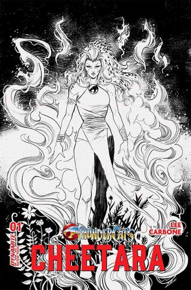Thundercats Cheetara