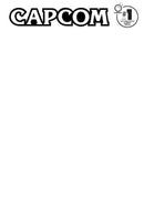 2025 Street Fighter & Friends Swimsuit Special