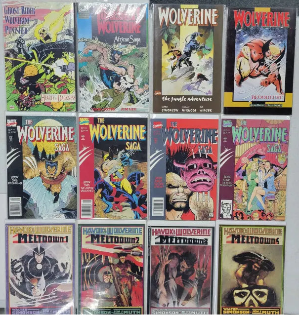 Wolverine Mini Series and One Shots (The Wolverine Saga with Havok and Wolverine Meltdown)