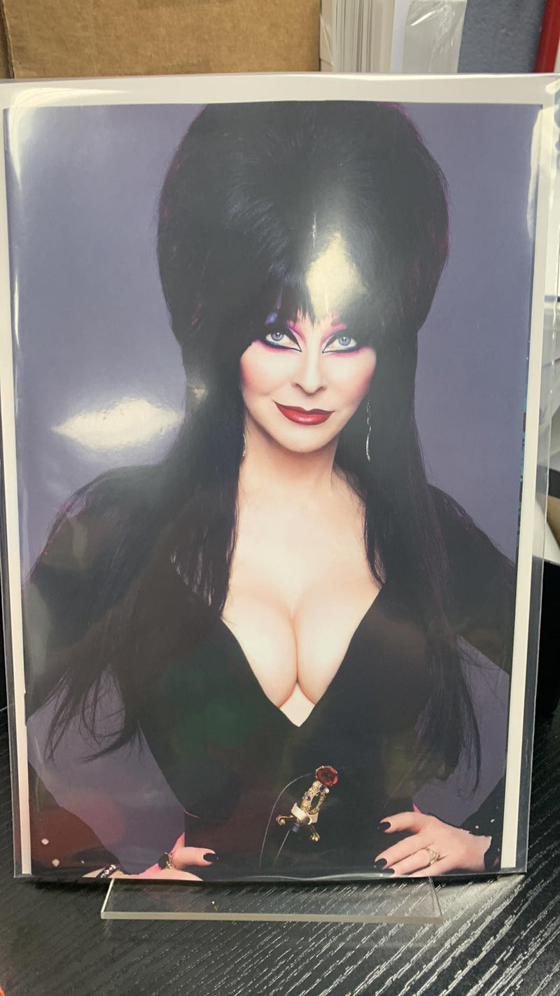 Elvira In Monsterland