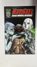 Raphael Bad Moon Rising