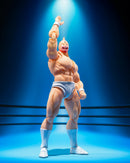 Kinnikuman Perfect Origin Arc S.H.Figuarts Action Figure
