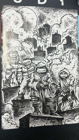 Teenage Mutant Ninja Turtles #10 Variant Ri (10) (Eastman Full Art)