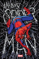 Amazing Spider Man