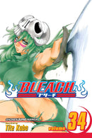 Bleach TPB Volume 34