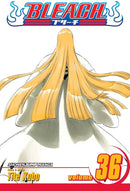 Bleach TPB Volume 36