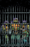 Teenage Mutant Ninja Turtles