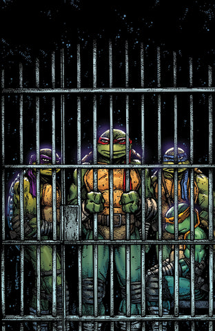 Teenage Mutant Ninja Turtles #11 Variant Ri (10) (Eastman Full Art)