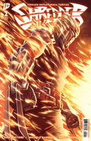 Teenage Mutant Ninja Turtles: Shredder