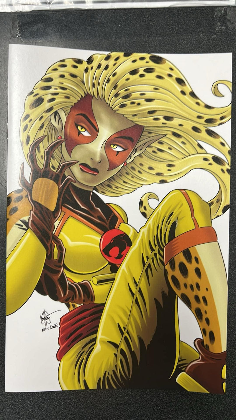 Thundercats Cheetara #2 Cover U 1:10 Haeser Catwoman #1 Homage