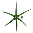 Marvel Legends Series Gamerverse Gargantos 6-Inch Scale Action Figure