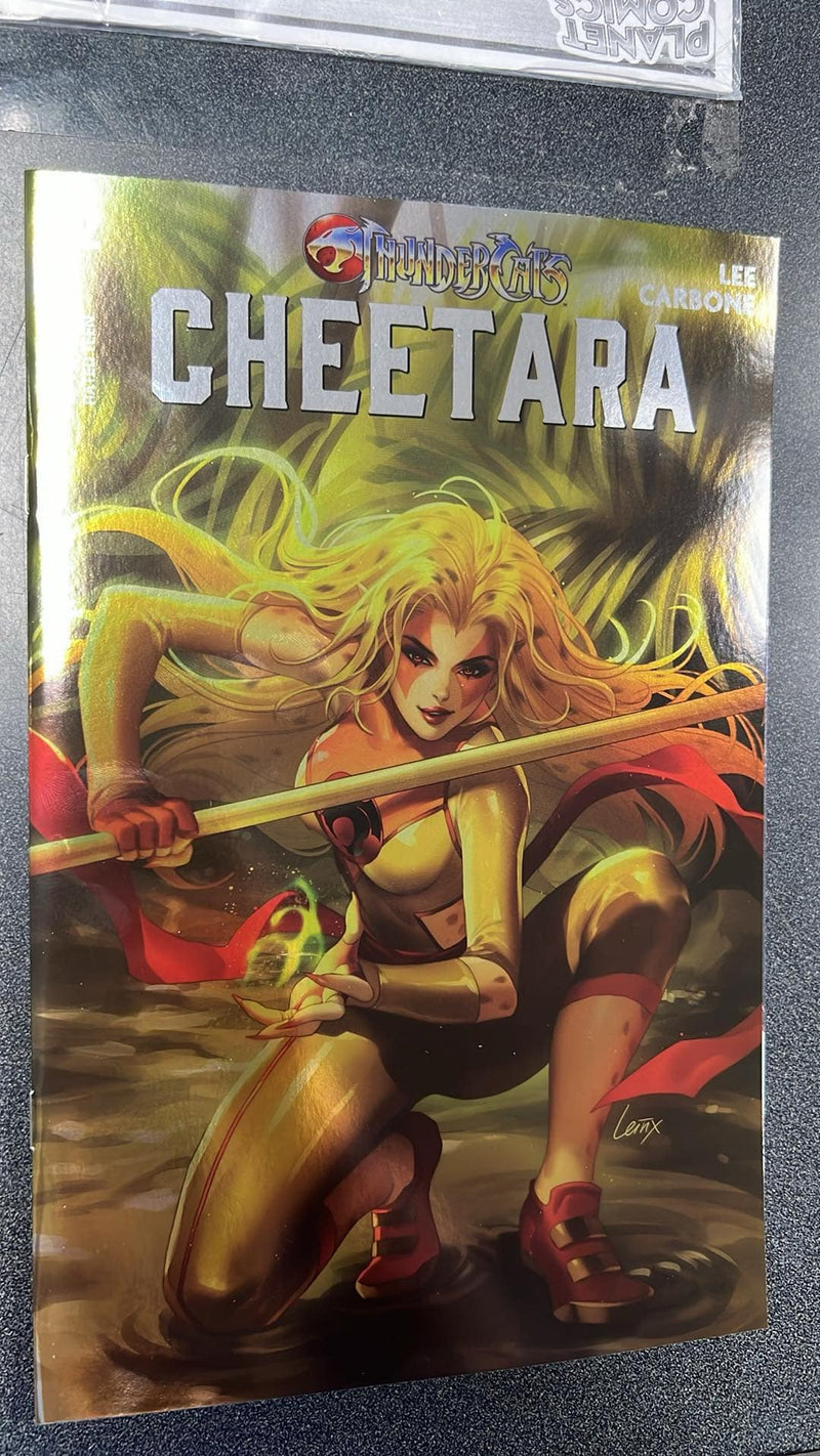 Thundercats Cheetara