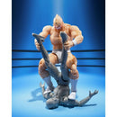 Kinnikuman Perfect Origin Arc S.H.Figuarts Action Figure