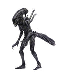 Avpr Xeno Warrior Previews Exclusive 1/18 Scale Figure