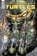 Teenage Mutant Ninja Turtles Ongoing