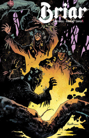 Briar #3 (Of 4) Cover B Paquette