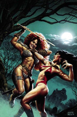Vampirella vs Red Sonja #4 Cover H 20 Copy Variant Edition Beach Virgin