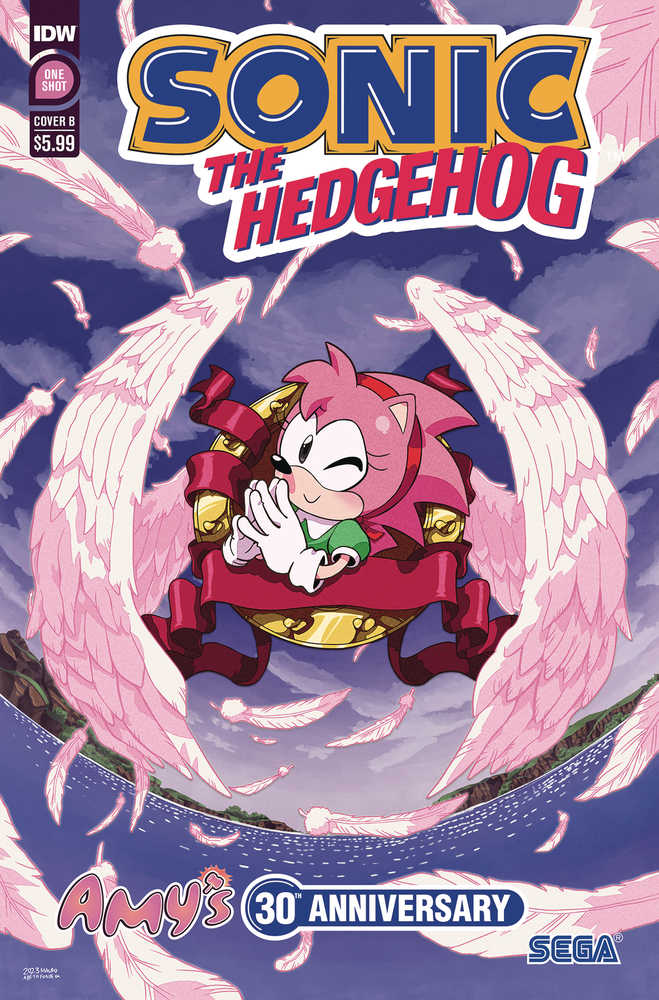 Sonic The Hedgehog Amys 30th Anniversary