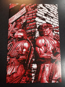 Teenage Mutant Ninja Turtles Vs Street Fighter