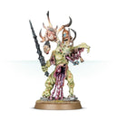 Poxbringer: Herald Of Nurgle