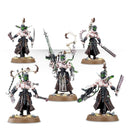 Dark Eldar Wracks (2014)
