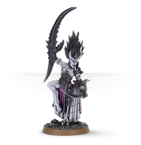 Herald of Slaanesh (WH)
