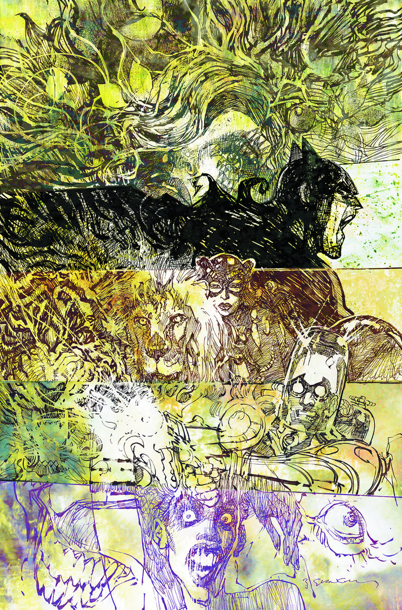 Batman Widening Gyre