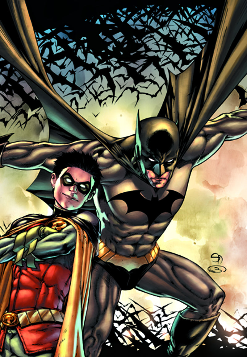 Bruce Wayne The Road Home Batman & Robin