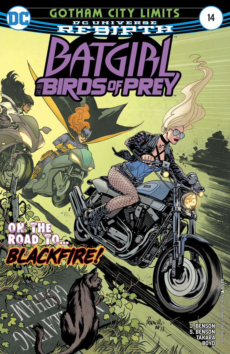 Batgirl And The Birds of Prey