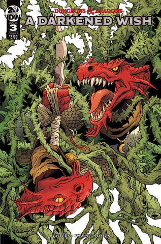 Dungeons & Dragons A Darkened Wish #3 Cvr A Fowler